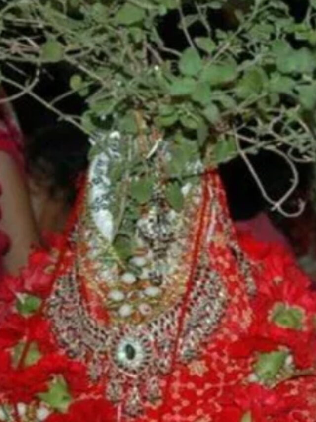 Tulsi Pujan