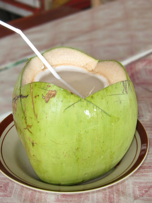 Coconut_Drink,_Pangandaran