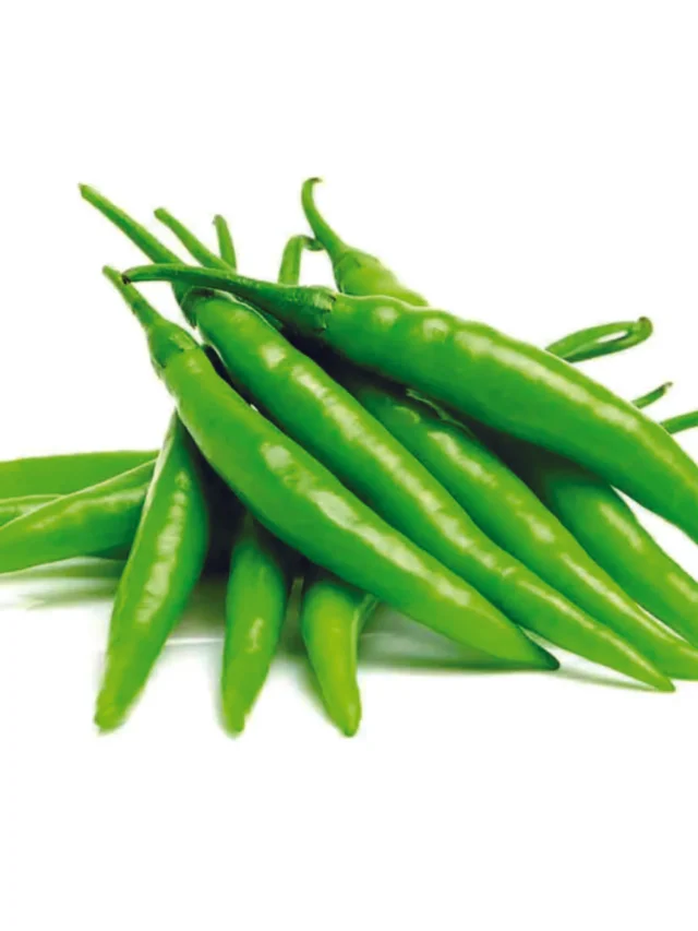 green chilli